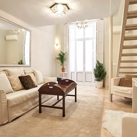 Duplex De Lujo En Palacio Junto Catedral