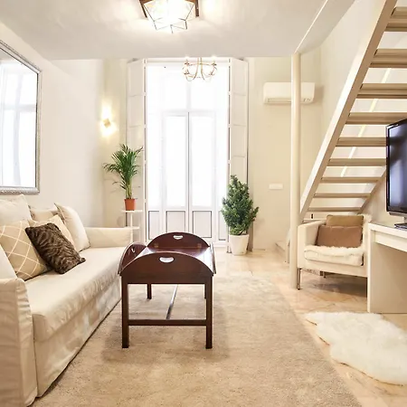 Duplex De Lujo En Palacio Junto Catedral Apartament
